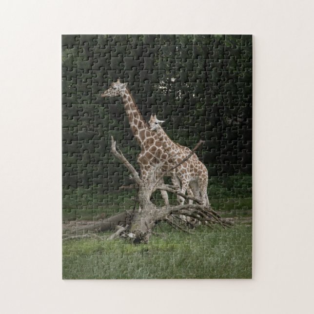 Giraffen-Mutter- und Kalbpuzzlespiel (Vertikal)