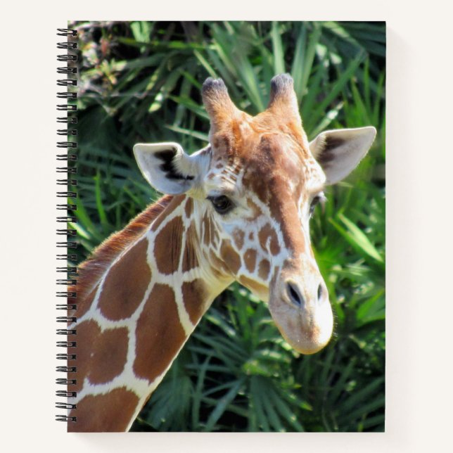 Giraffen-Notebook - 8.5 x 11, 8.5 x 8.5, oder Herz Notizbuch (Vorderseite)