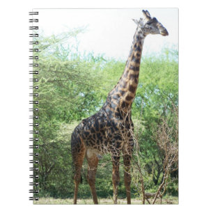 Giraffen-Notizbuch Notizblock