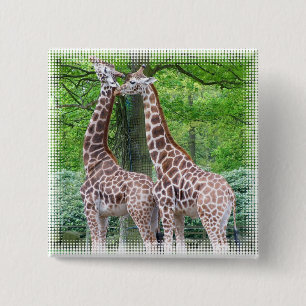 Giraffen-Paar-Quadrat-Button Button