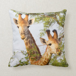 Giraffen Peeking über Vegetation Kissen