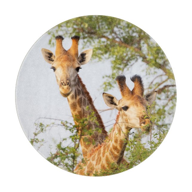 Giraffen Peeking über Vegetation Schneidebrett (Vorderseite)