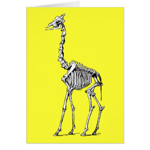 Giraffen-Skelett