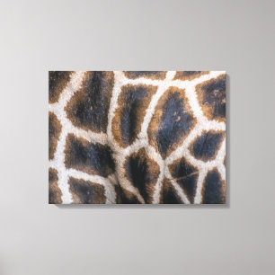 Giraffen-Skin-nahe Leinwand