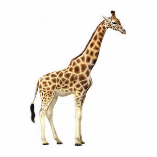 Giraffen-Skulptur Freistehende Fotoskulptur