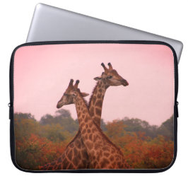 Giraffen, stehend in Mopanobäumen mit rosa Himmel Laptopschutzhülle