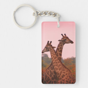 Giraffen, stehend in Mopanobäumen mit rosa Himmel Schlüsselanhänger