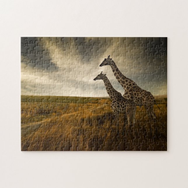 Giraffen und die Landschaft (Horizontal)