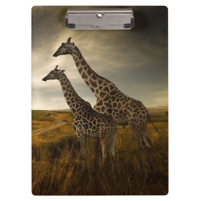 Giraffen und die Landschaft Klemmbrett (Vorderseite)
