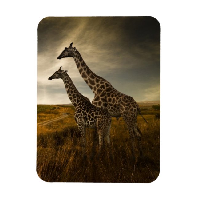 Giraffen und die Landschaft Magnet (Vertikal)