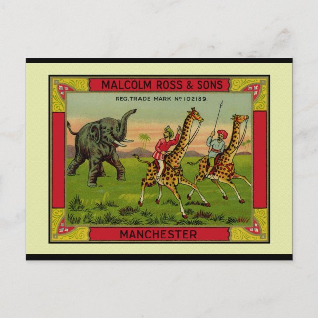 Giraffen und Elephant Postkarte (Vorderseite)