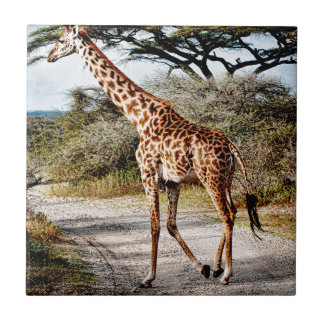Giraffen-wildes Tier-Afrika-Musterdruck Fliese