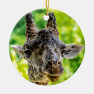 Giraffen-Wimpern Keramikornament