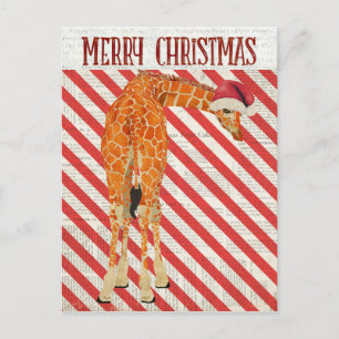 Giraffen-Zuckerstangen-Postkarte Postkarte