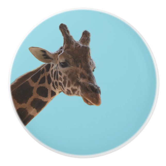 Giraffen-Zugknopf Keramikknauf (Vorderseite)