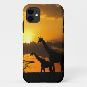 Giraffenfamilie 2 title_seo2