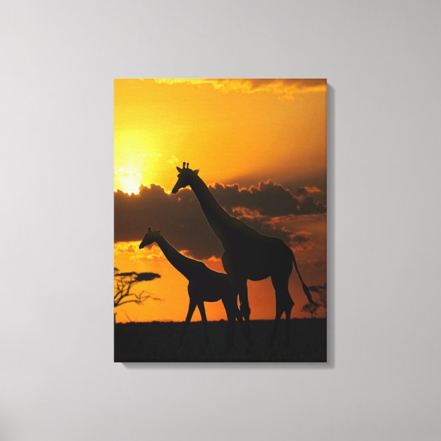 Giraffenfamilie 2 leinwanddruck (Vorderseite)