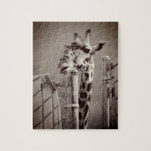 Giraffenfotografie - Vintager Stil