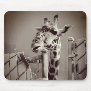 Giraffenfotografie - Vintager Stil Mousepad