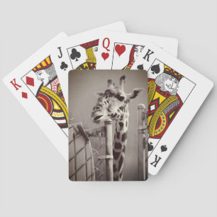 Giraffenfotografie - Vintager Stil Spielkarten