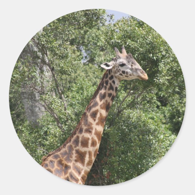 Giraffenkopf Runder Aufkleber (Vorderseite)