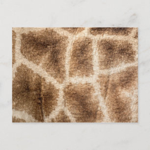 Giraffenmuster Postkarte