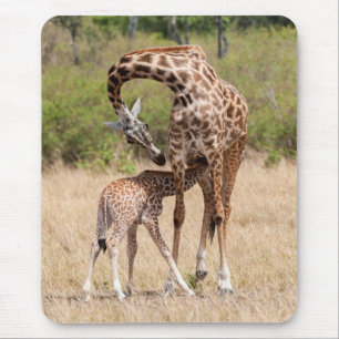 Giraffenmutter und Baby in Kenia Mousepad