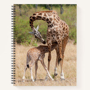 Giraffenmutter und Baby in Kenia Notizbuch