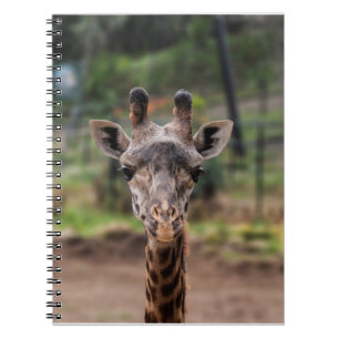 Giraffennotizbuch Notizblock