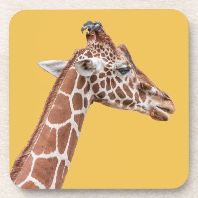 Giraffenprofil Untersetzer (Vorderseite)