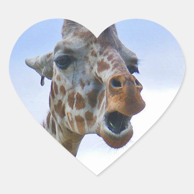 Giraffensticker Herz-Aufkleber (Vorderseite)