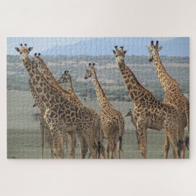 Giraffenturm (Horizontal)