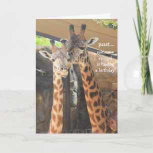 Giraffes Carte d'anniversaire pour quelqu'un de sp