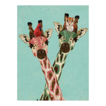 GIRAFFES & FEATHERS