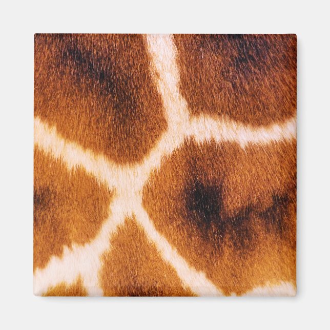GIRAFFES MAGNET (Vorne)