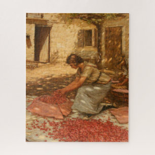 Girl Packing Cherries in der Provence (Frankreich)