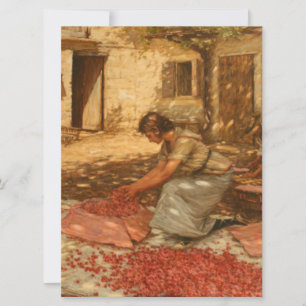 Girl Packing Cherries in der Provence (Frankreich) Karte