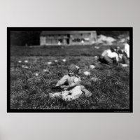 Girl Picking Cranberries Near Rochester, MA 1910