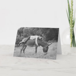 Girl Riding Donkey Geburtstagkarte Karte