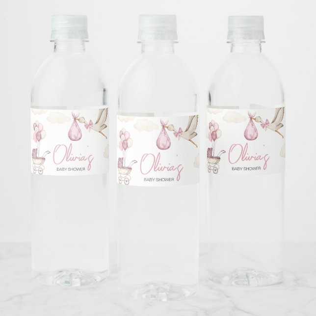 Girl Storck Special Delivery Baby Dusche (Flaschen)