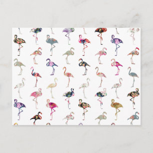 Girl Whimsical Retro Floral Flamingos Muster Postkarte