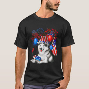Girls 4th July Womens Summer Outfit American Flag T-Shirt