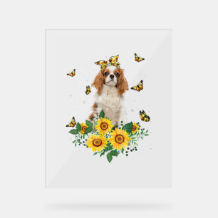 Girls Women Mama Cavalier King Charles Spaniel Dog Acrylschild