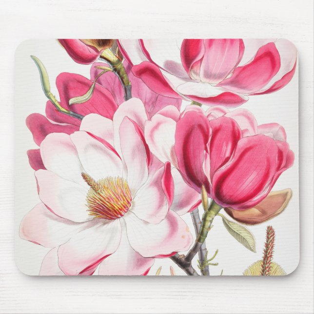 Girly Pink Campbell's magnolia Mousepad (Vorne)