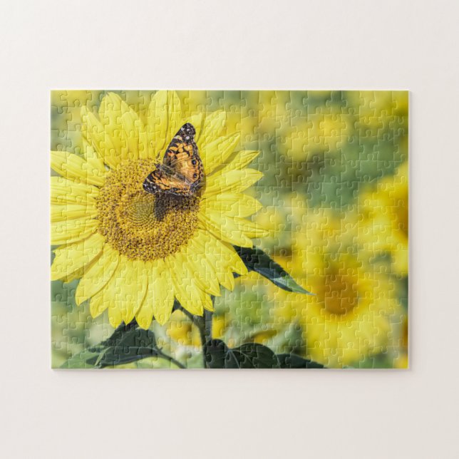 Gisement de tournesol avec le puzzle de papillon (Horizontal)