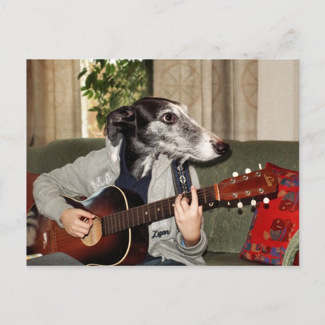 Gitarrenhund Postkarte (Vorderseite)