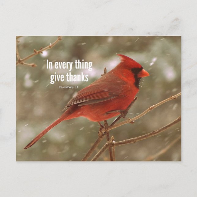 Give Thanks Bibel Postkarte (Vorderseite)