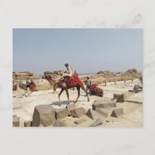 Giza Plateau in der Nähe der Pyramiden Postkarte