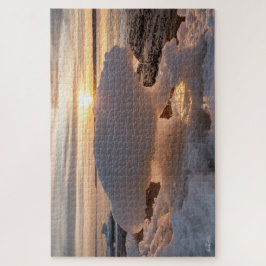 glace en forme d'ours