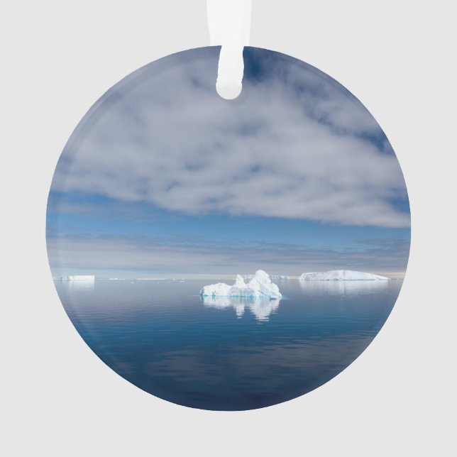 Glace flottante en Antarctique (dos)